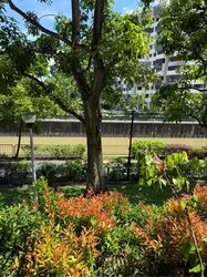 Lakeside Grove (D22), Terrace #613485841